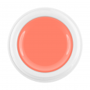 Limited Winter Edition 2018 Color Gel light salmon