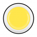 Flat Paste yellow